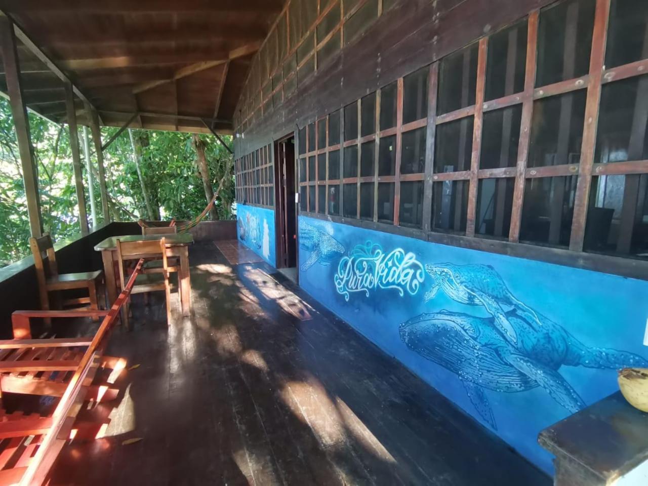 Drakes Bay Pirate Drake Beach Hostel & Tour Company מראה חיצוני תמונה
